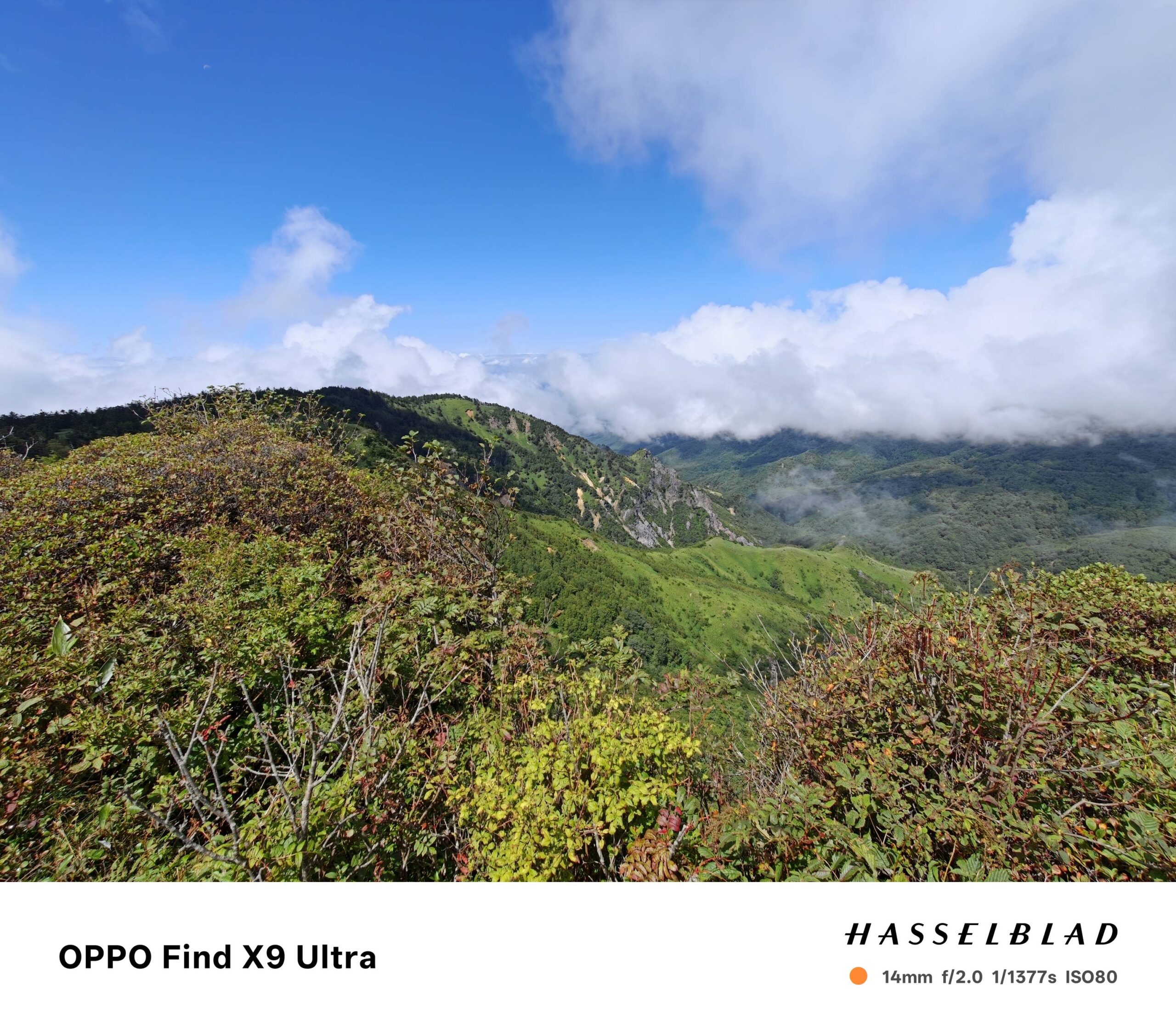 OPPO Find X9 Ultraの超広角14mmで撮影した雲海の広がる稜線