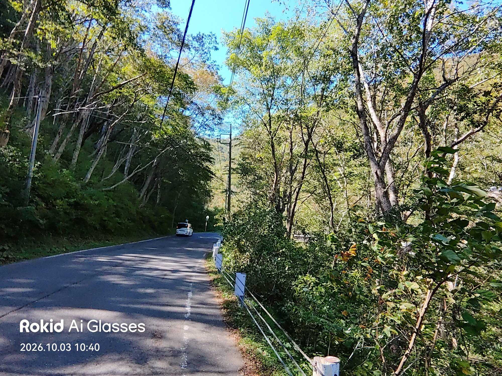 木々に囲まれた国道291号(Rokidで撮影)
