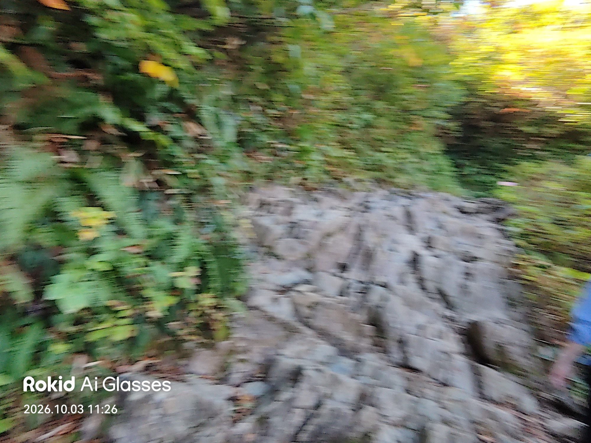 歩きながら撮ってブレた登山道(Rokidで撮影)