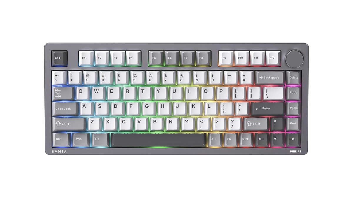 PHILIPS SPK8618 メカニカルキーボード